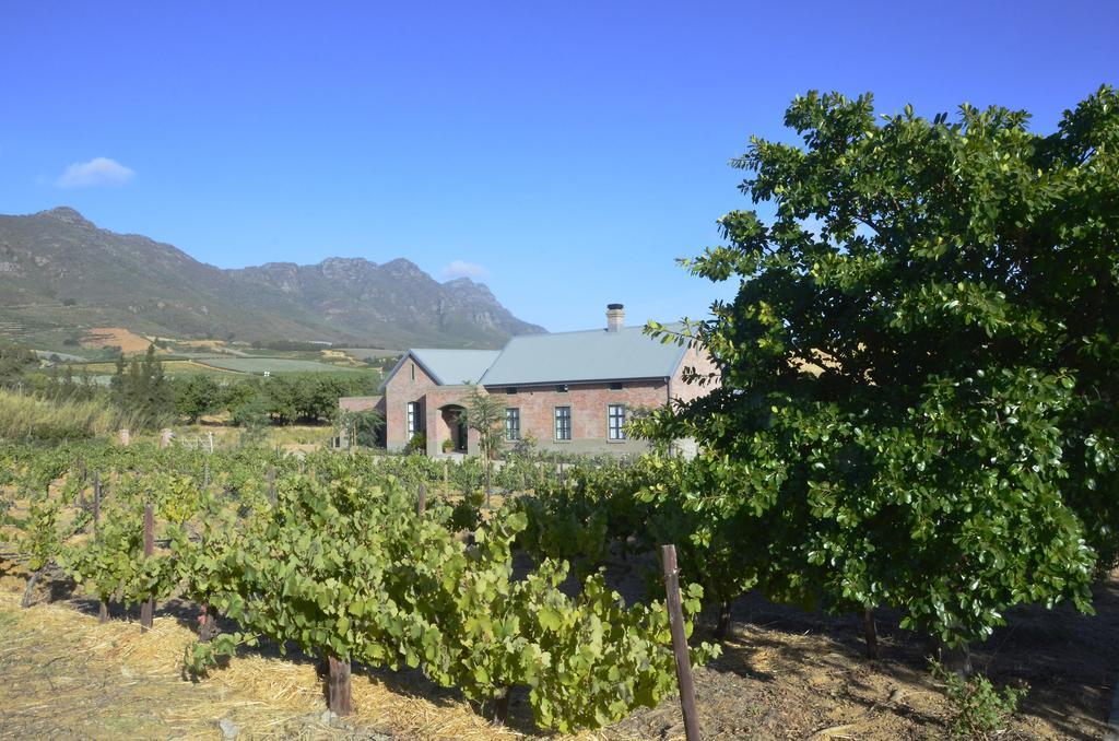 Vineyard Views Country House Riebeek-Kasteel Kültér fotó