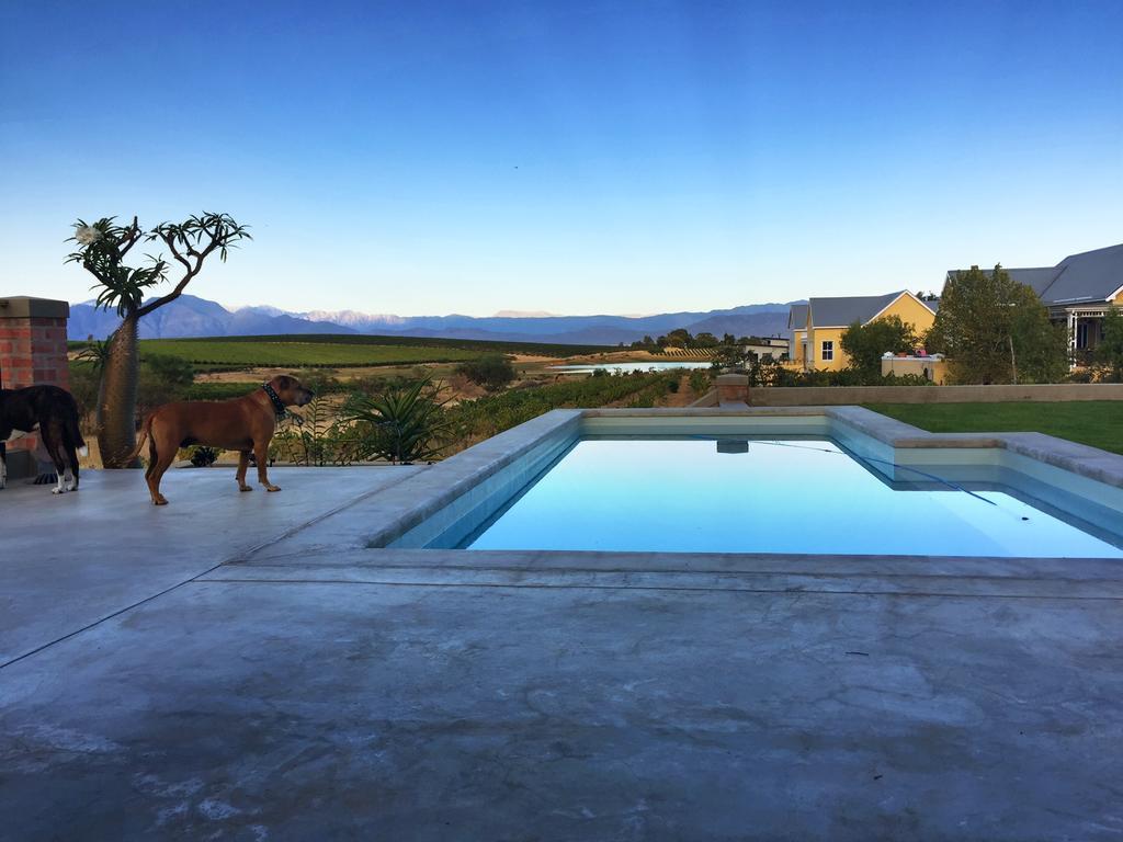 Vineyard Views Country House Riebeek-Kasteel Kültér fotó