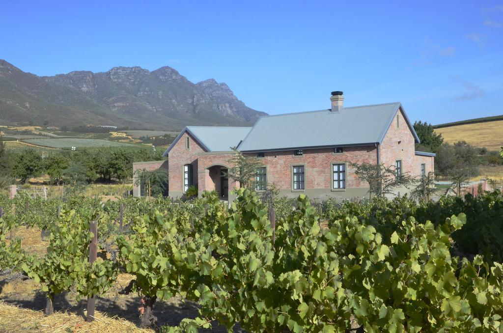 Vineyard Views Country House Riebeek-Kasteel Kültér fotó