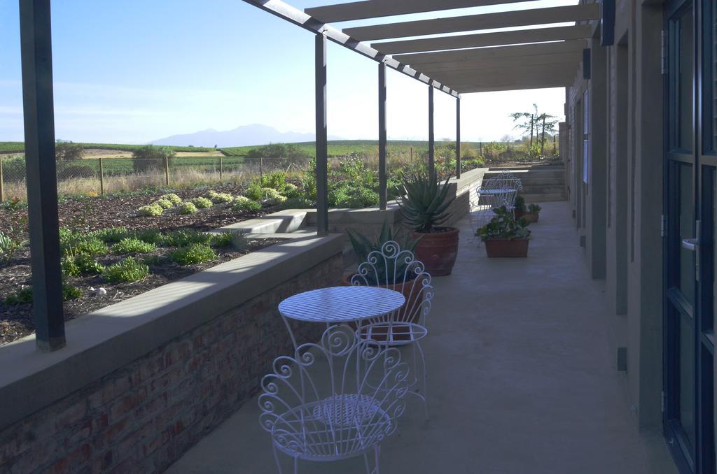 Vineyard Views Country House Riebeek-Kasteel Kültér fotó