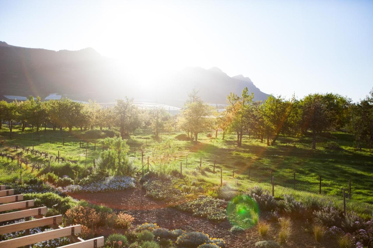 Vineyard Views Country House Riebeek-Kasteel Kültér fotó