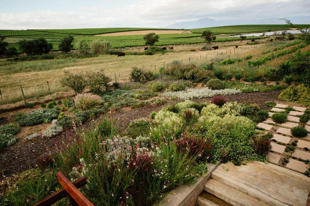 Vineyard Views Country House Riebeek-Kasteel Kültér fotó
