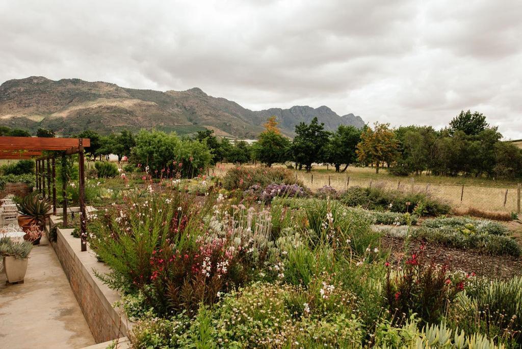 Vineyard Views Country House Riebeek-Kasteel Kültér fotó
