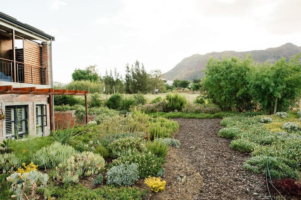 Vineyard Views Country House Riebeek-Kasteel Kültér fotó