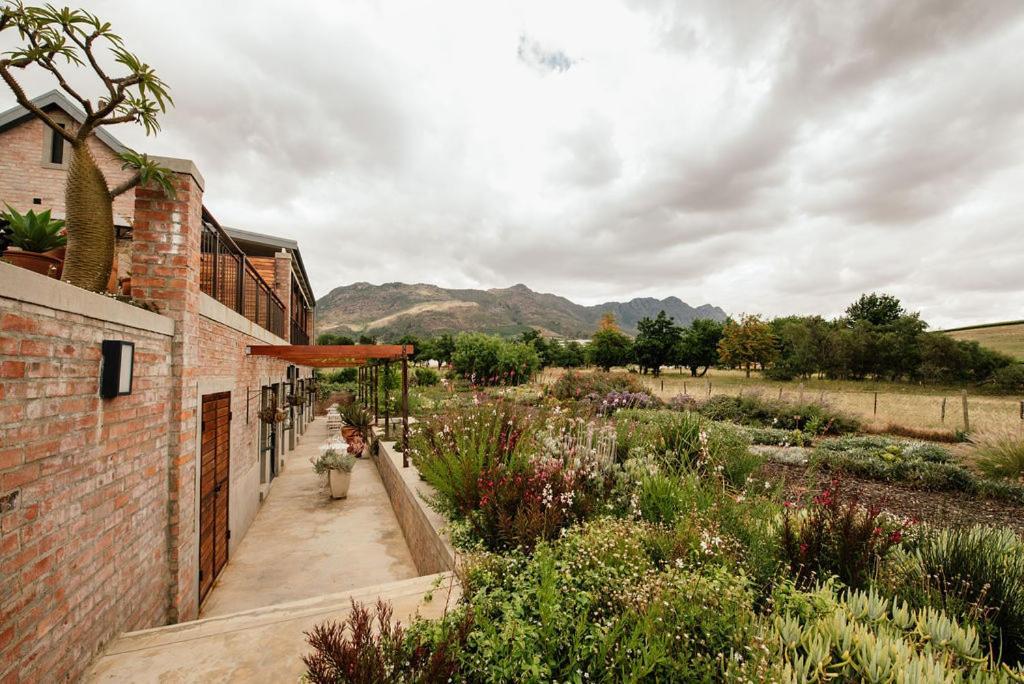 Vineyard Views Country House Riebeek-Kasteel Kültér fotó