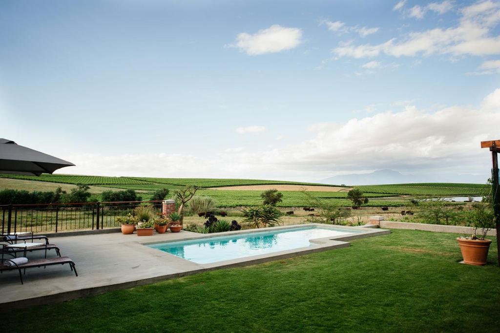Vineyard Views Country House Riebeek-Kasteel Kültér fotó