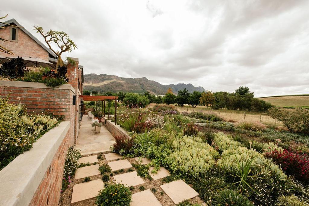 Vineyard Views Country House Riebeek-Kasteel Kültér fotó